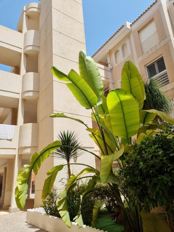 Апартаменты Flamenco Penthouse Sea View & Swimming Pool Торевьиа Экстерьер фото